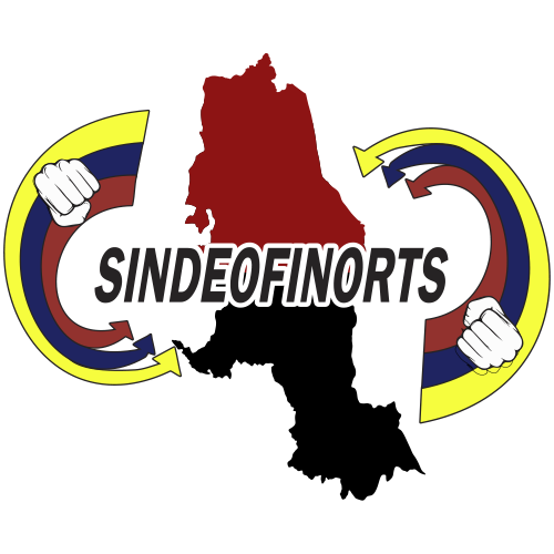 logo sindeofinorts